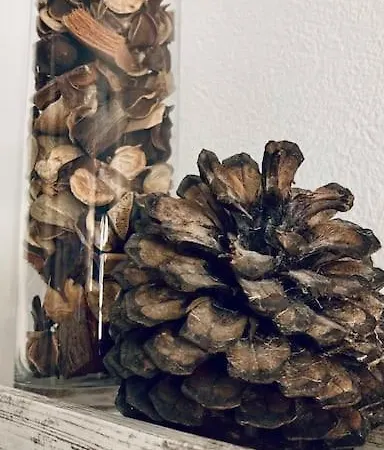 Apartamento Cozy'wood *