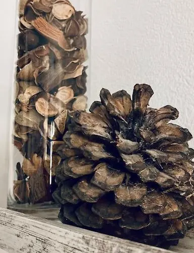 Apartamento Cozy'wood *